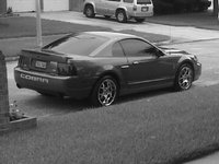 Mustang SVT Cobra Mustang SVT Cobra