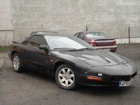 Firebird Firebird