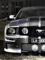 Mustang SVT Cobra Mustang SVT Cobra
