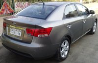 Cerato Cerato