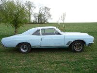 Skylark Skylark