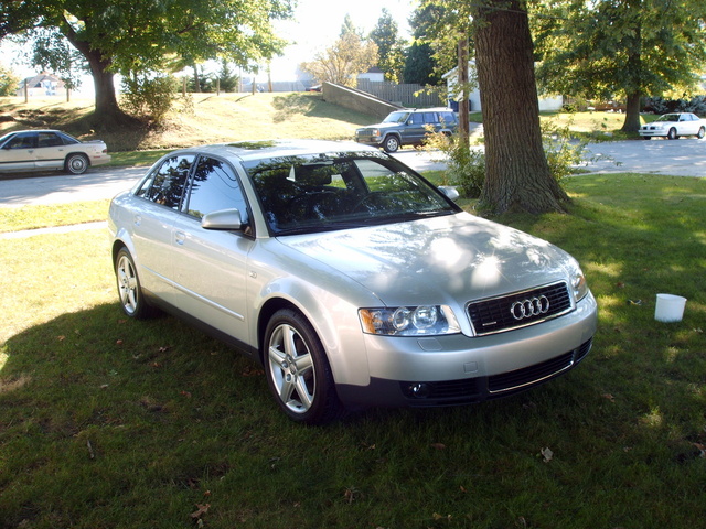 2003 Audi A4 Pictures Cargurus