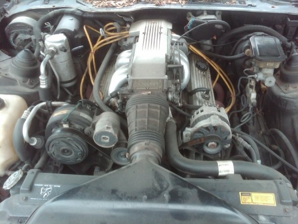 1991 Chevrolet Camaro - Pictures - CarGurus 1991 Chevrolet Camaro - Pictures - CarGurus