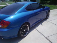 Tiburon Tiburon