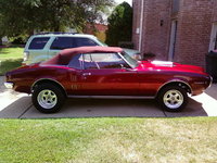 Firebird Firebird
