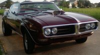 Firebird Firebird