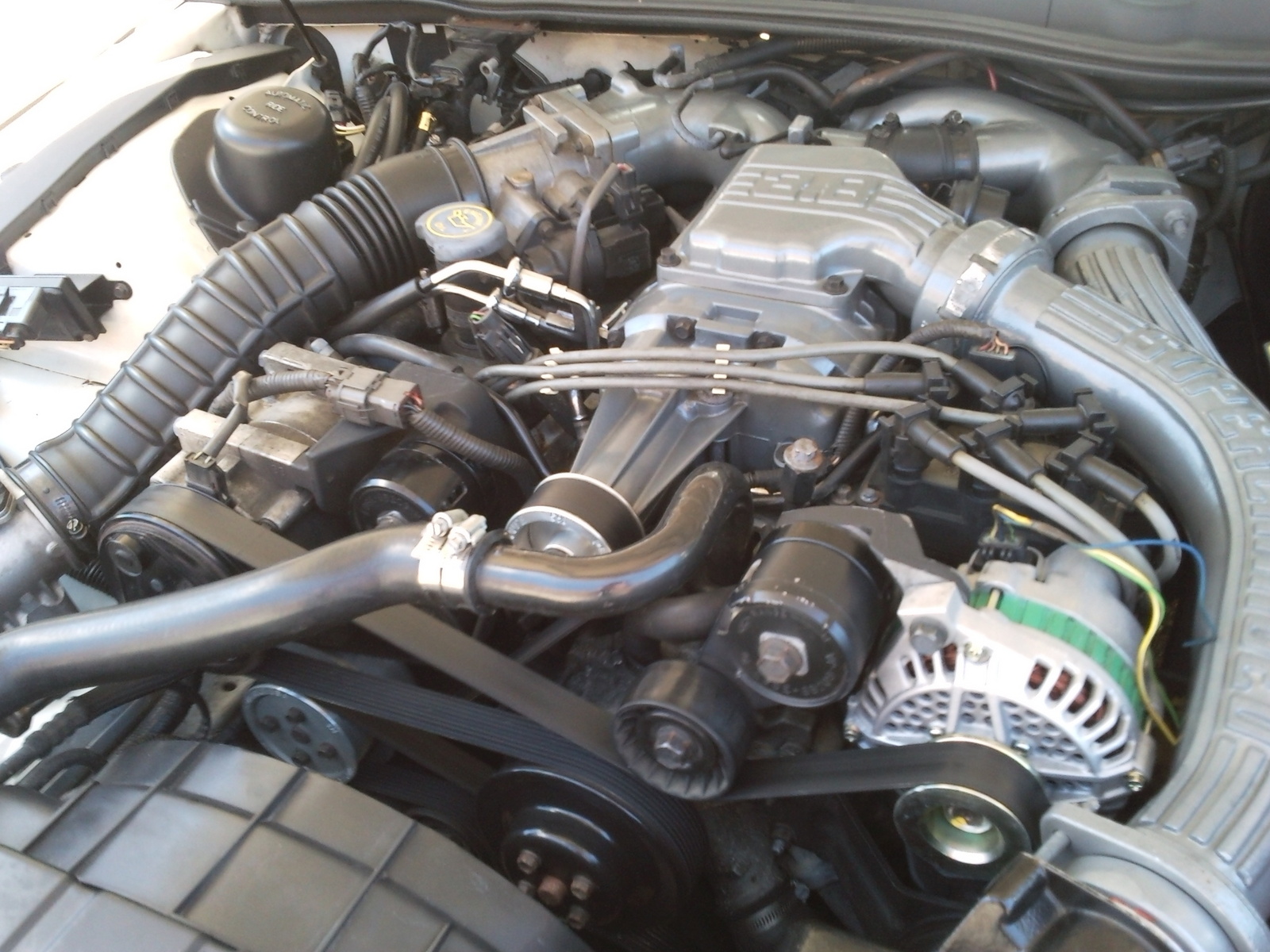 1994 Ford thunderbird supercharger #5