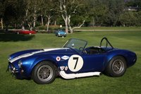 Cobra Cobra