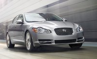 XF XF