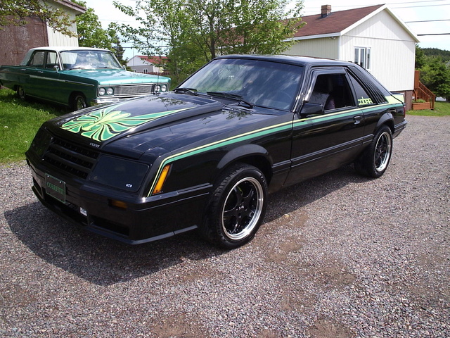 1980 Ford Mustang Pictures Cargurus