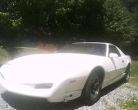 Firebird Firebird