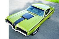 Cougar Cougar