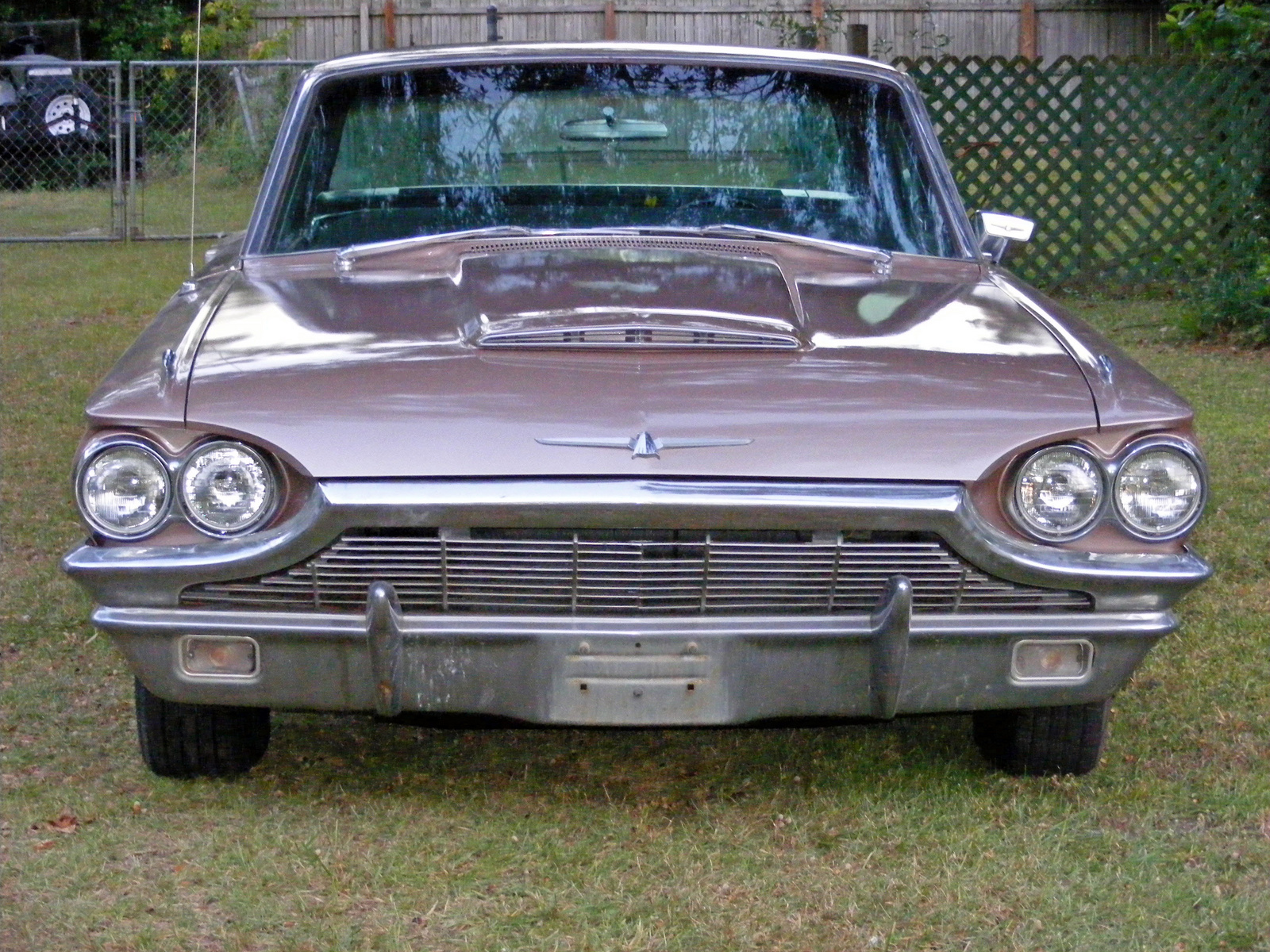 Pictures of 1965 ford thunderbird #2