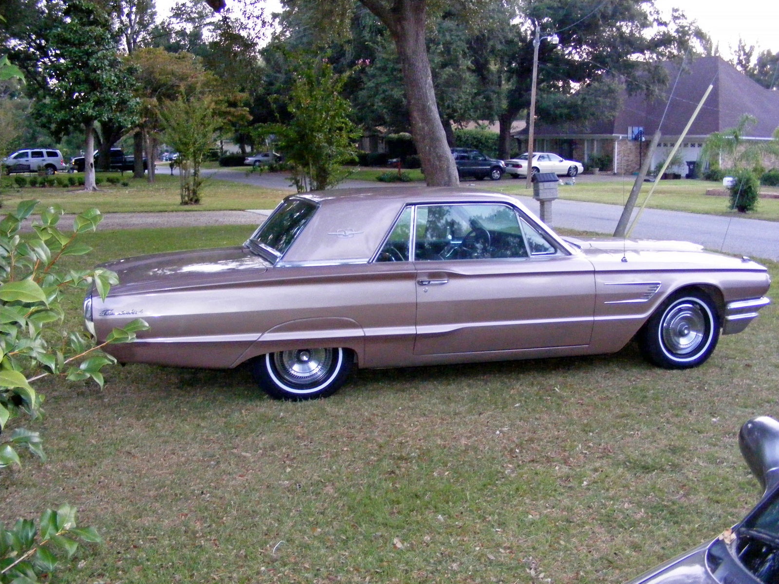 Pictures of 1965 ford thunderbird #7
