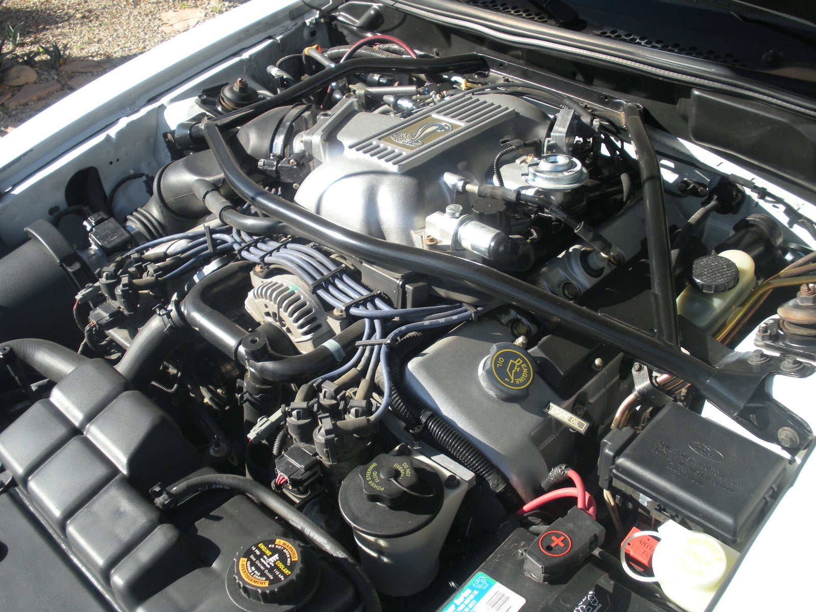 1997 Ford mustang cobra engine specs #7