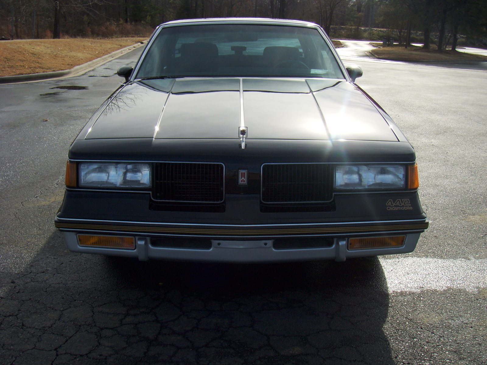 1987 Oldsmobile 442 - Pictures - CarGurus