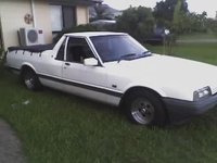 Falcon Falcon
