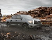 Tundra Tundra