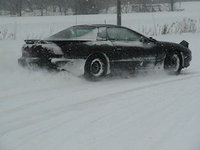 Firebird Firebird