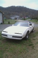 Firebird Firebird
