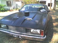 Falcon Falcon
