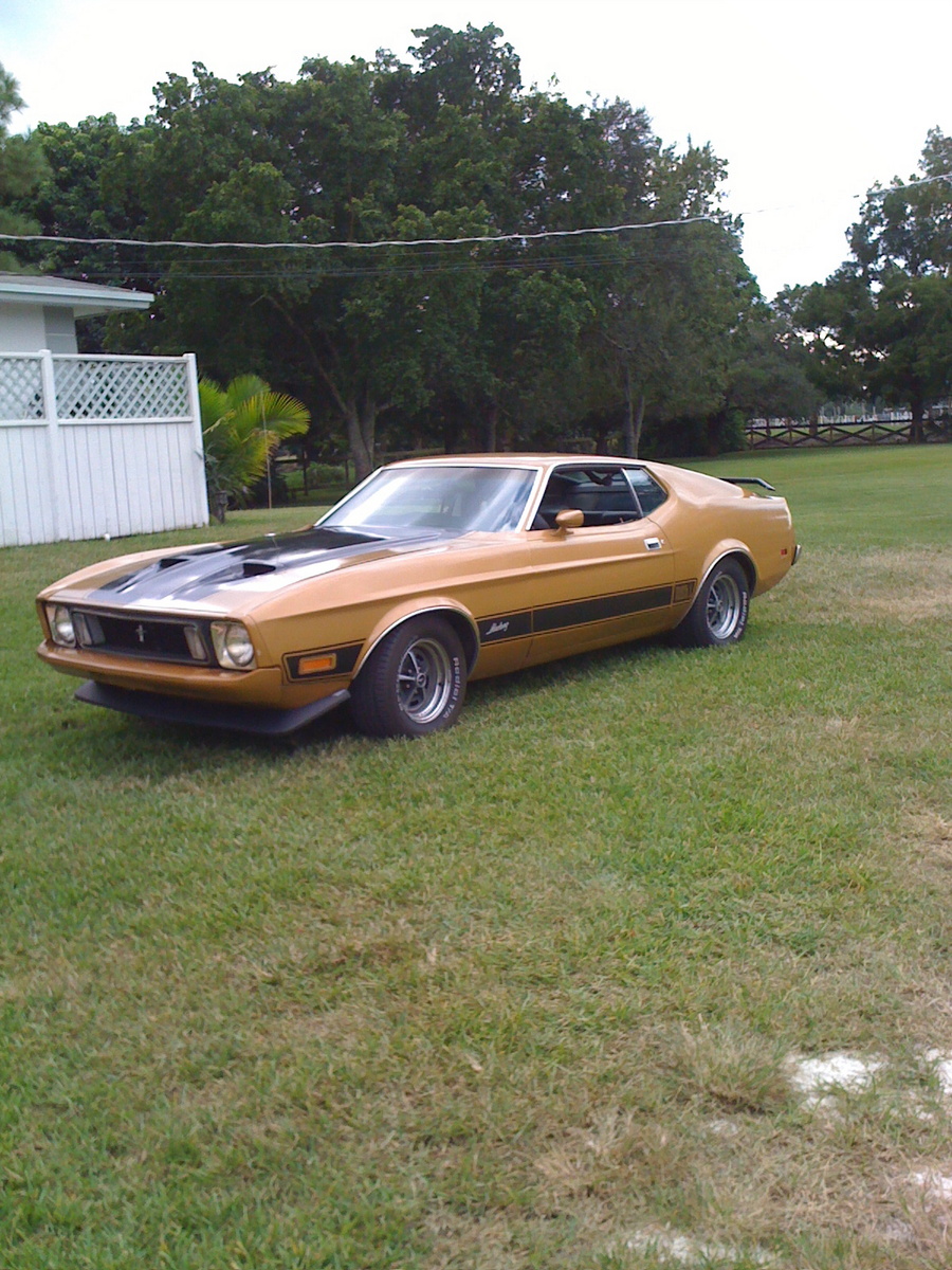 1973 Ford mustang mark 1 #7