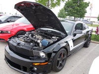 2008 Ford Mustang Picture Gallery