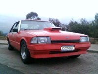 Falcon Falcon