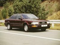 V8 V8