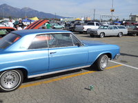 Skylark Skylark