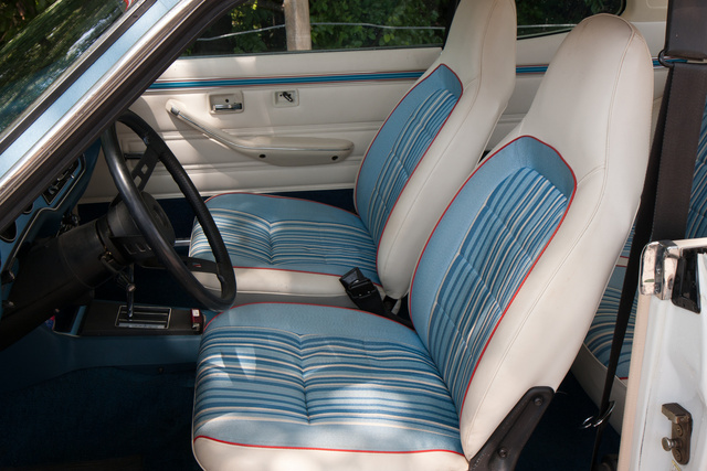 1976 dodge interior doors handle