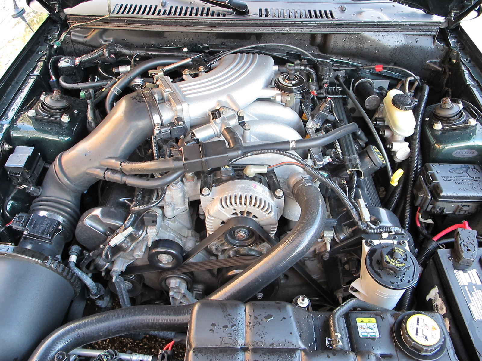 2001 Ford mustang bullitt engine #2