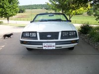 1983 Ford Mustang - Pictures - Cargurus