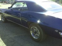 Firebird Firebird