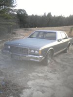 Caprice Caprice
