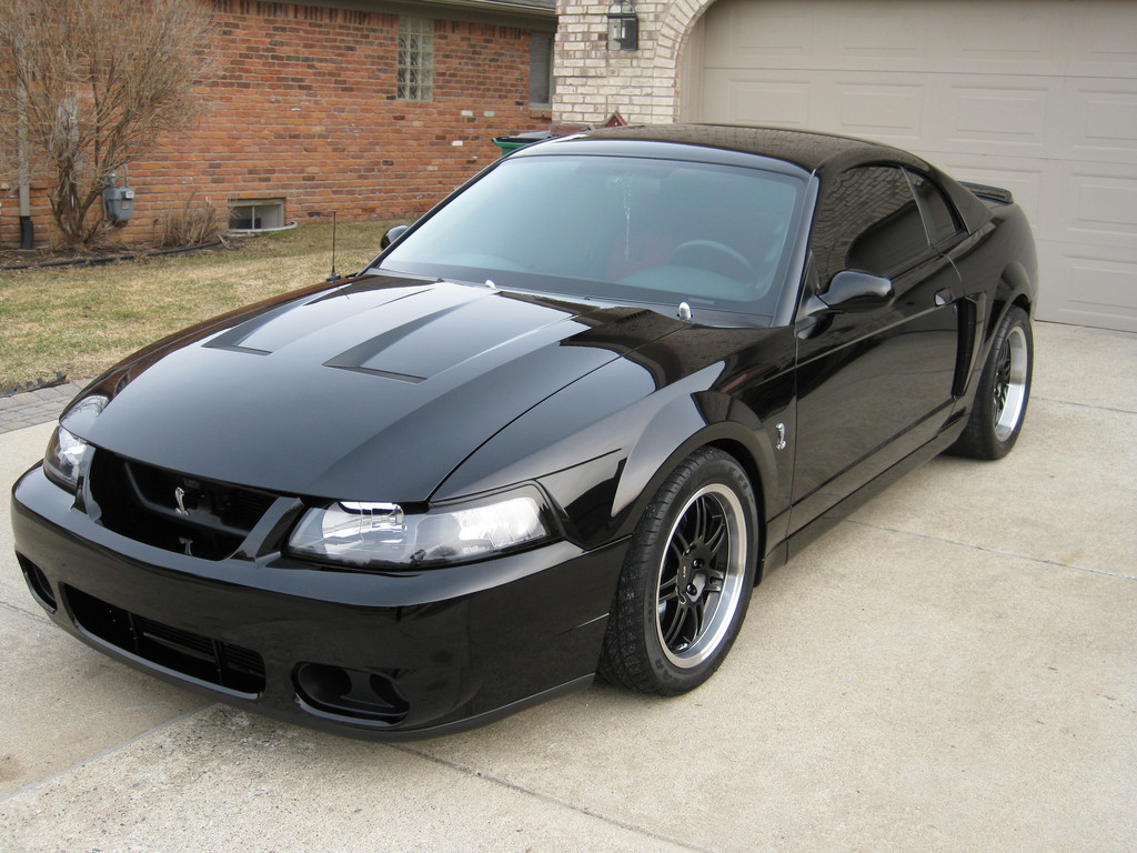 2003 Ford mustang cobra supercharged #3