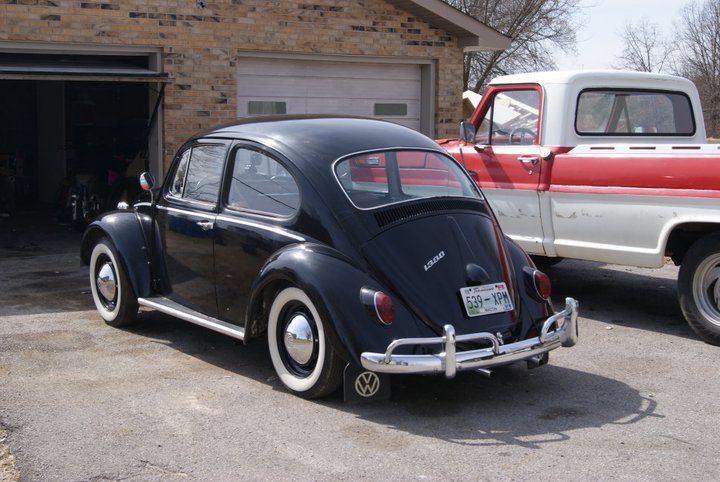 1966 Volkswagen Beetle - Pictures - CarGurus