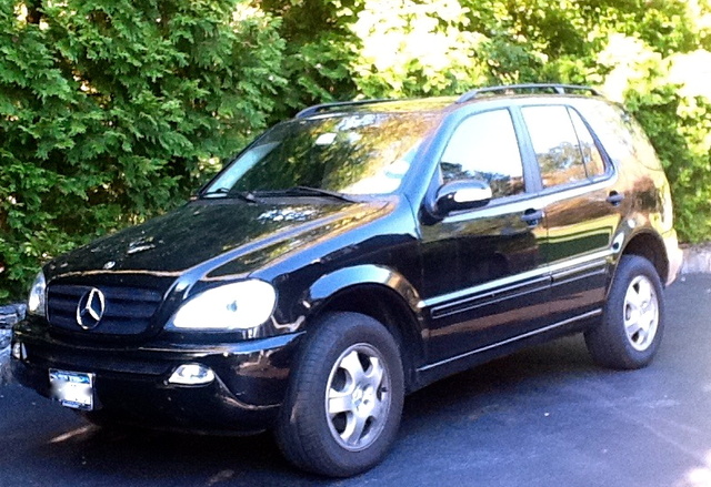 2004 Mercedes Benz M Class Pictures Cargurus