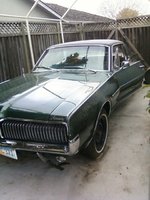 Cougar Cougar