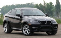 2010 BMW X6 Picture Gallery