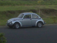 Super Beetle