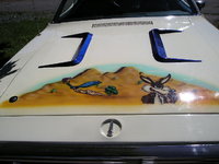 Road Runner Road Runner