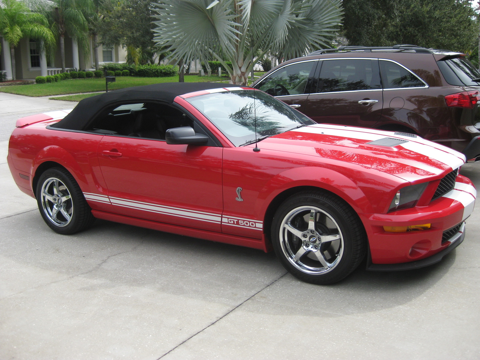 2007 Ford shelby gt500 coupe pictures #4