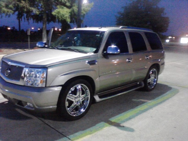 2003 Cadillac Escalade Pictures Cargurus