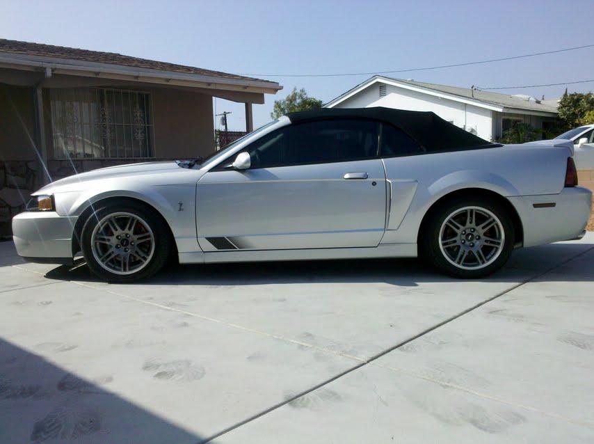 1999 Ford mustang cobra svt specs