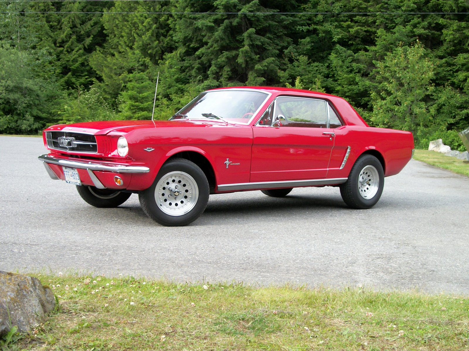 Ford Mustang 1965 Custom