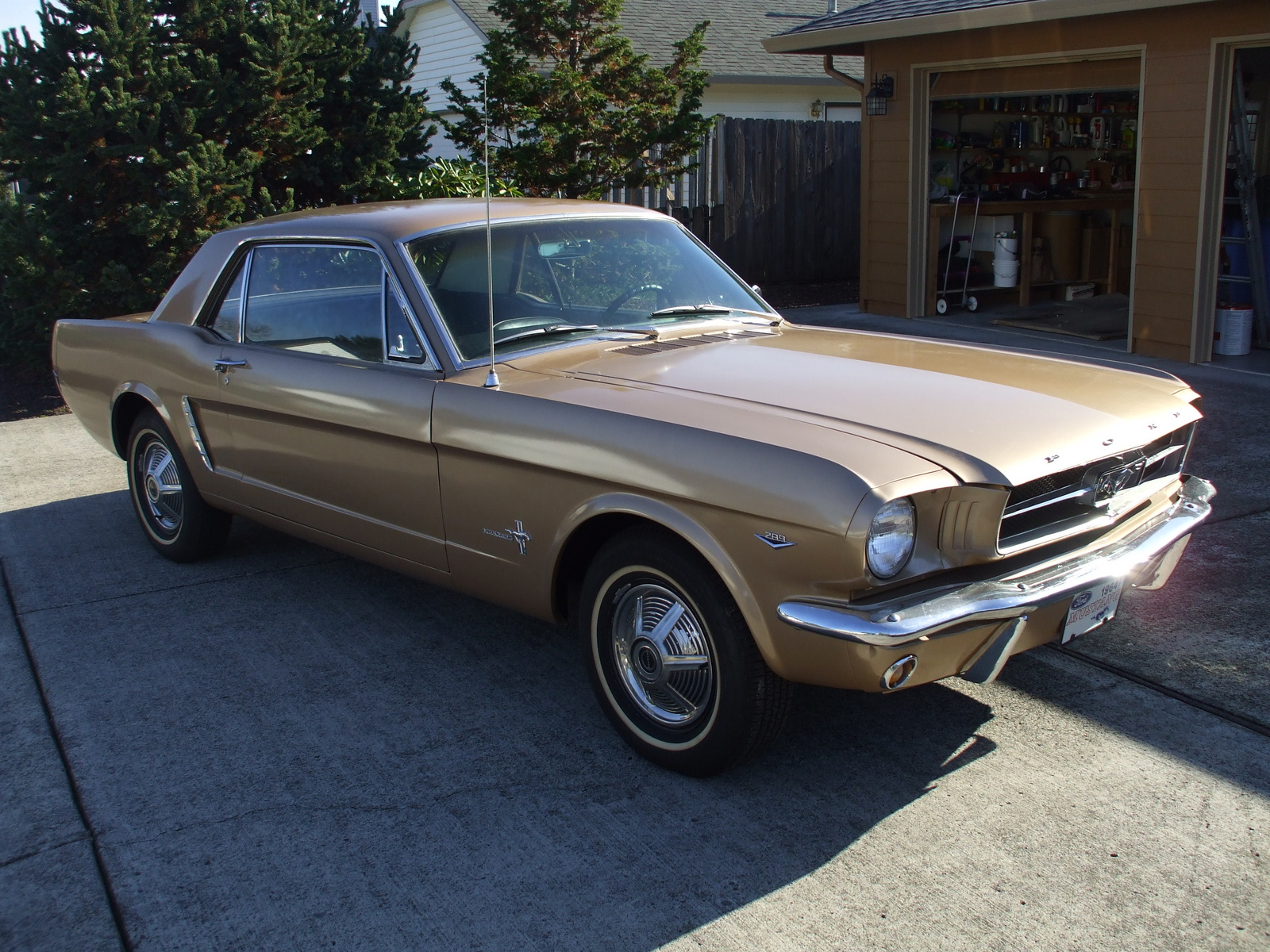 1964 Ford mustang for sale in pa #7