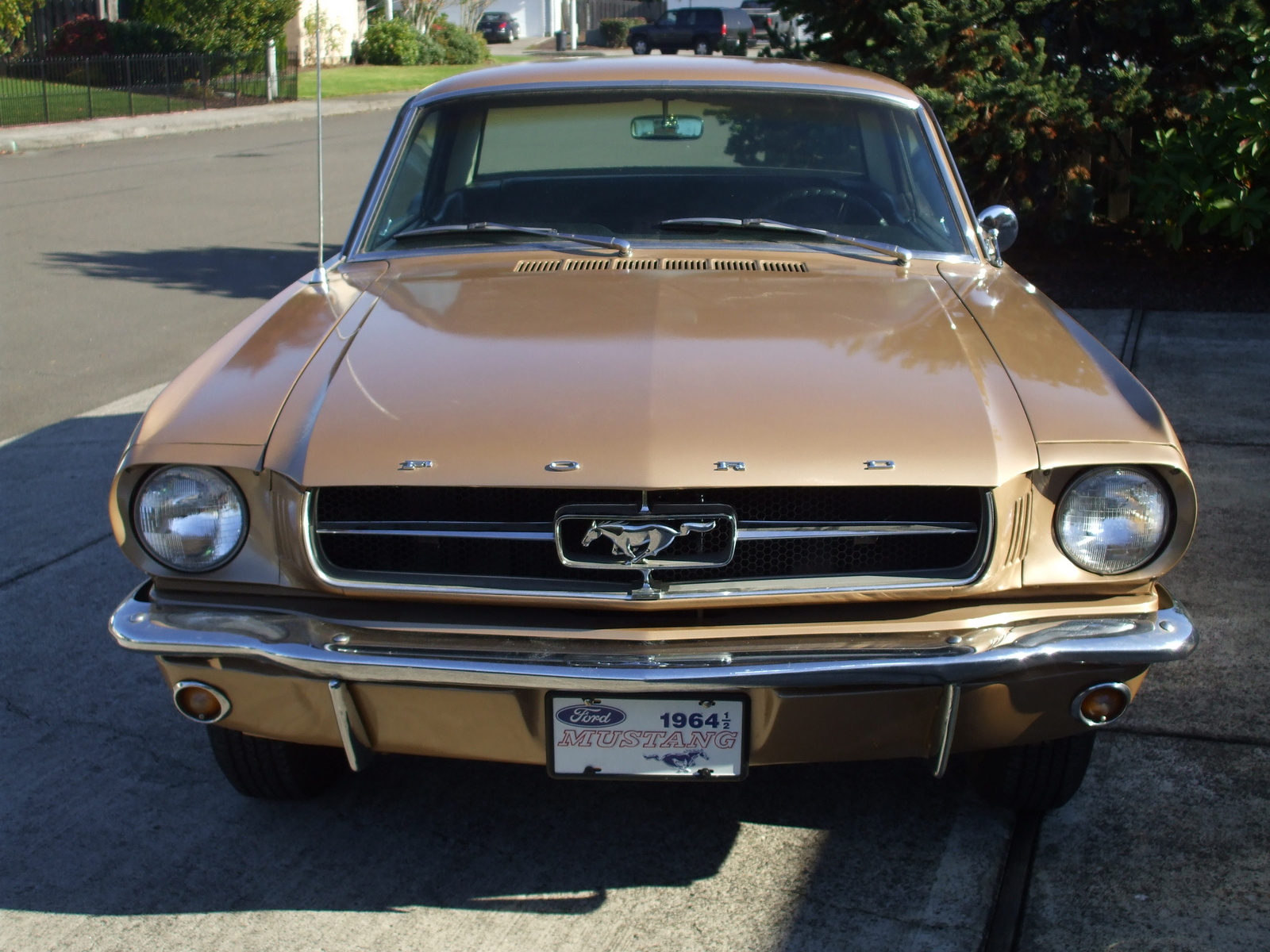 1964 Ford mustang sale canada #6