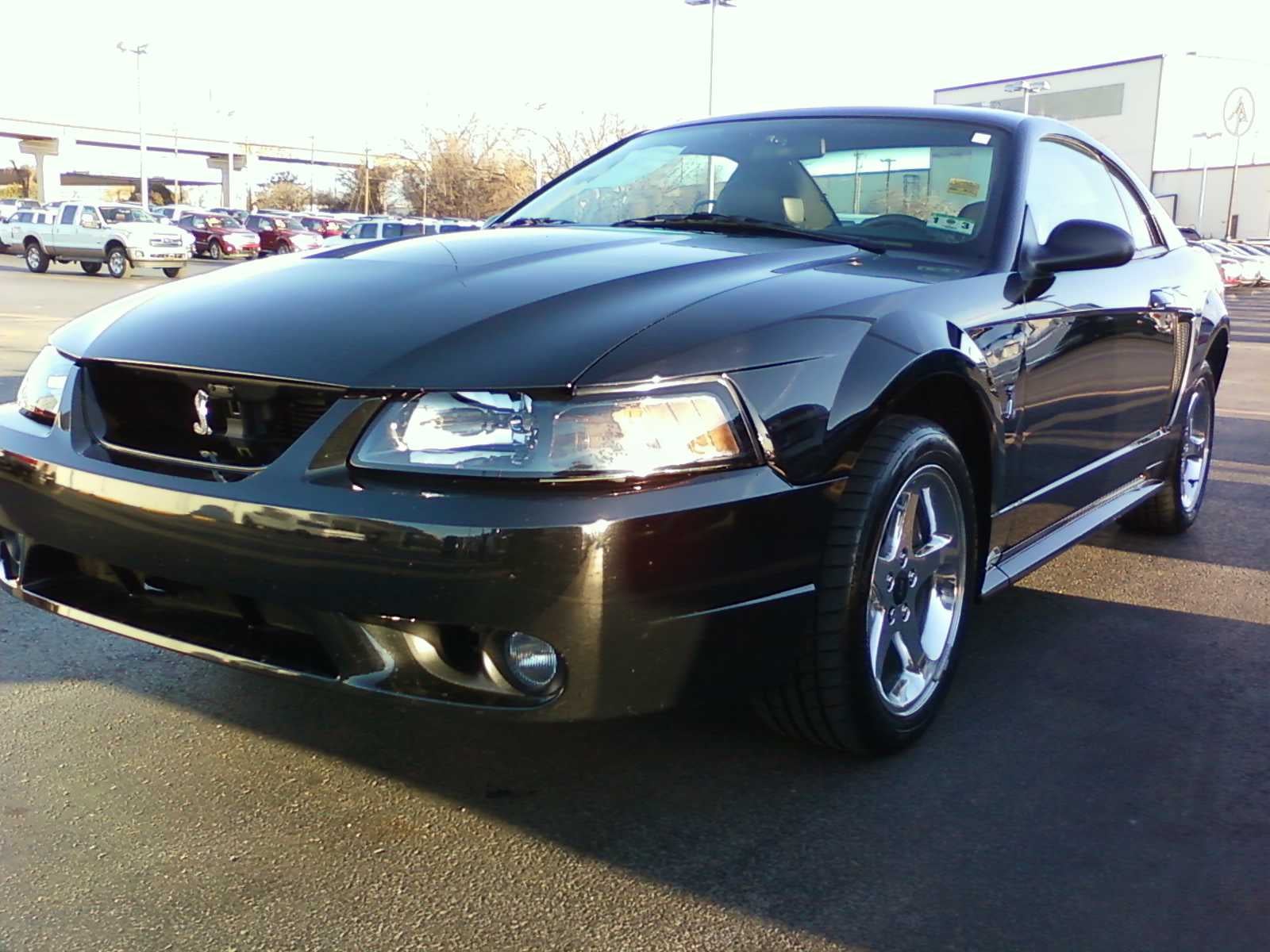 2001 Ford mustang cobra coupe specs #2