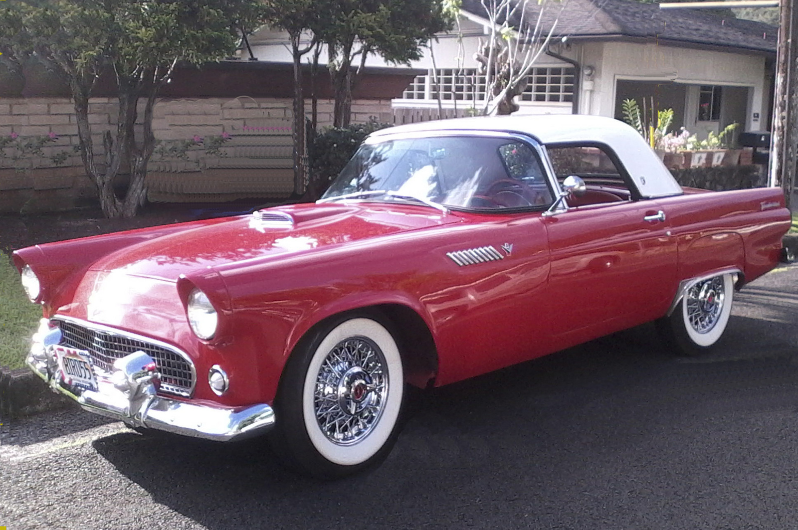 1955 Ford thunderbird canada #4